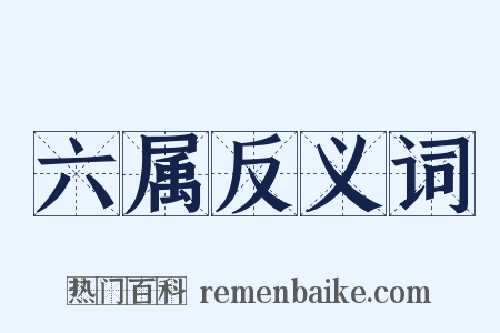 六属反义词是什么意思的图片